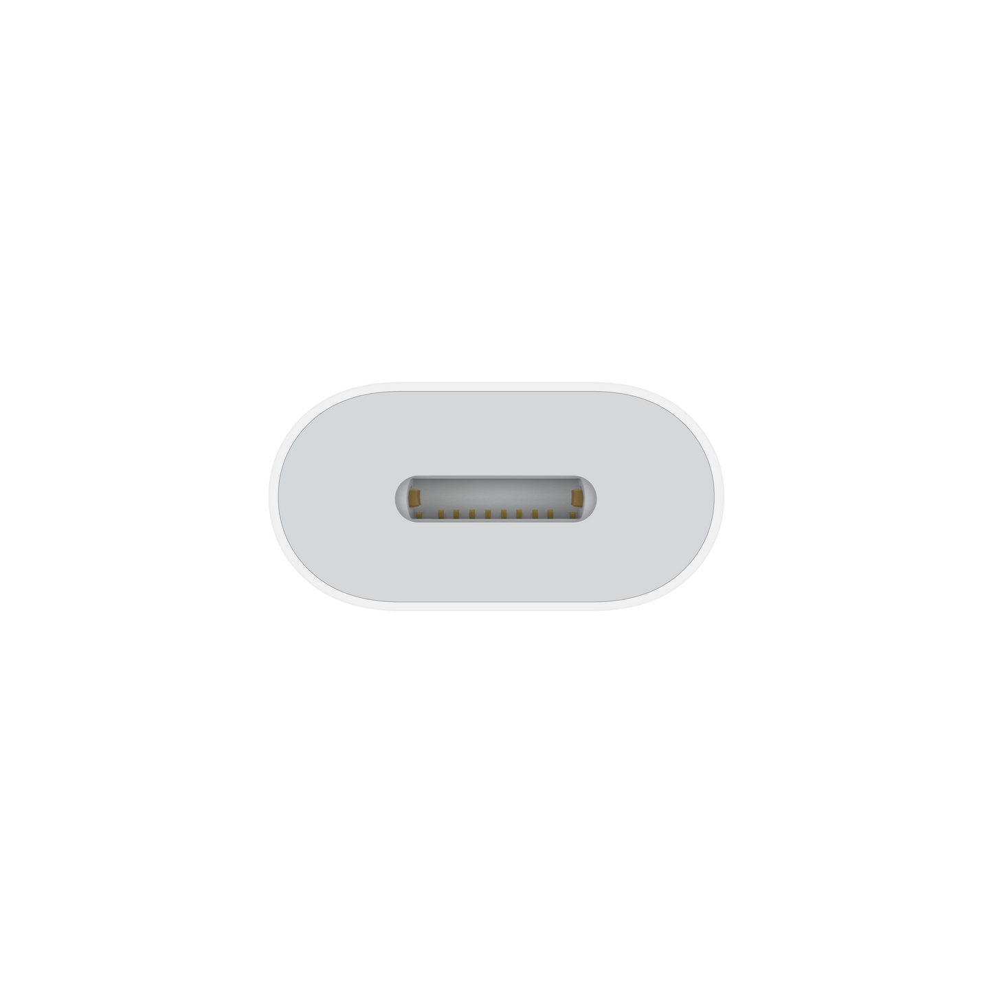 Apple vmesnik USB-C na Lightning - iSTYLE SI