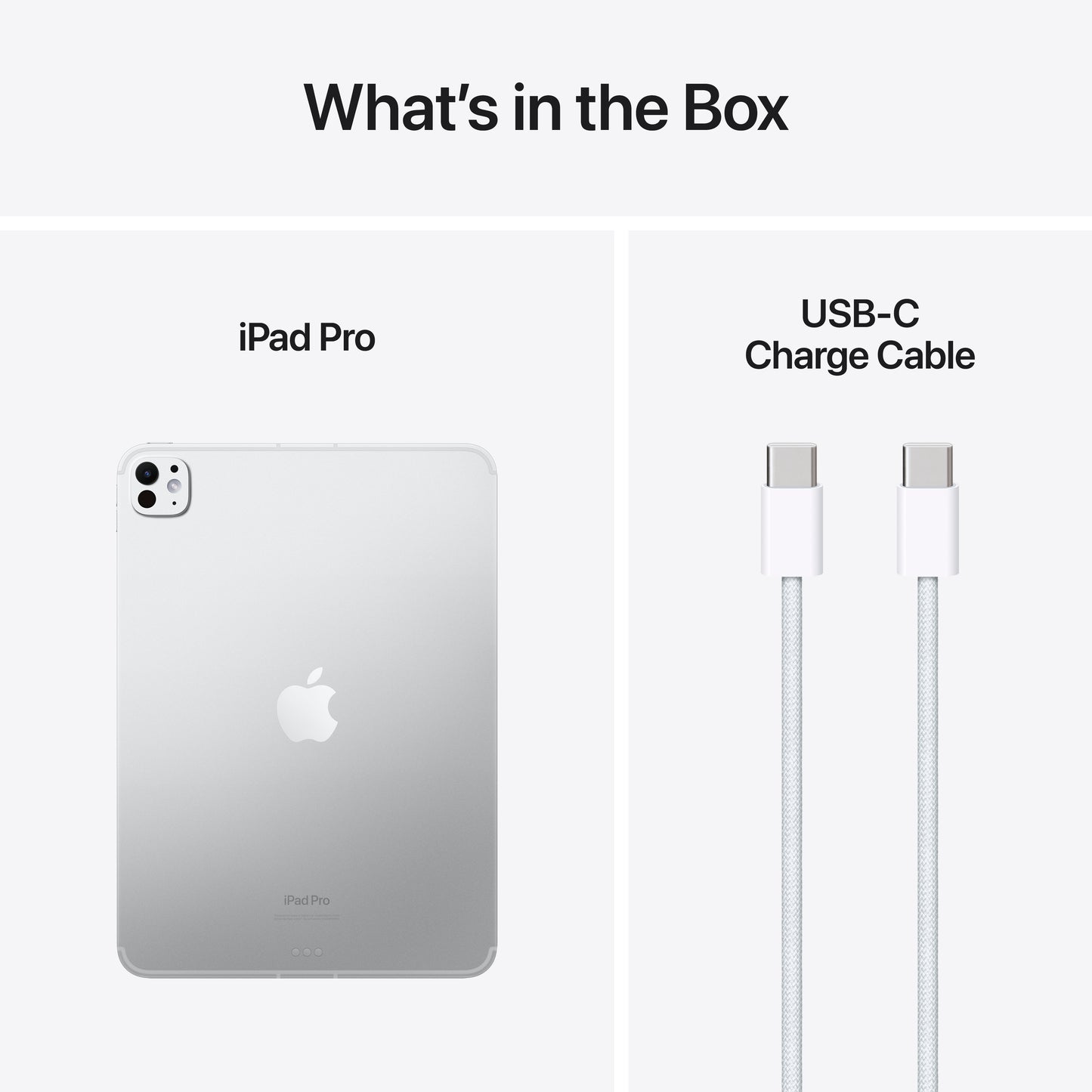 iPad Pro 11 (M4): Wi-Fi + Cellular, 1 TB nano-teksturirano steklo - srebrn - iSTYLE SI