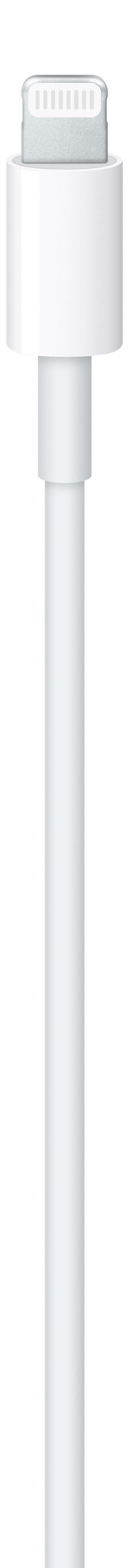 Apple kabel USB-C na Lightning Cable (1 m) - iSTYLE SI