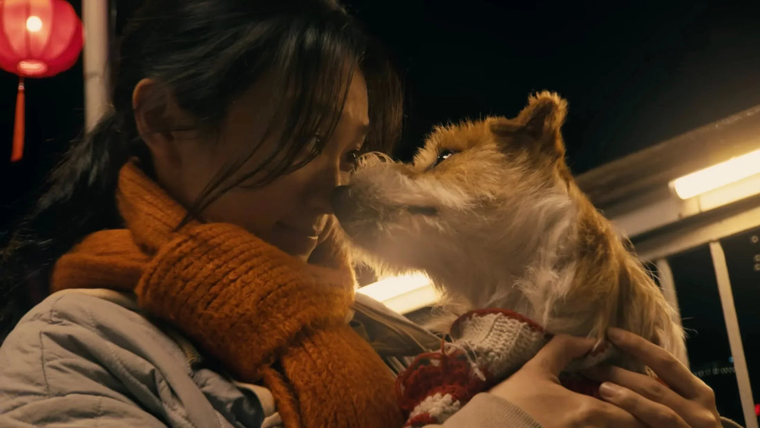 Prispel je Applov letošnji kratki film za kitajsko novo leto