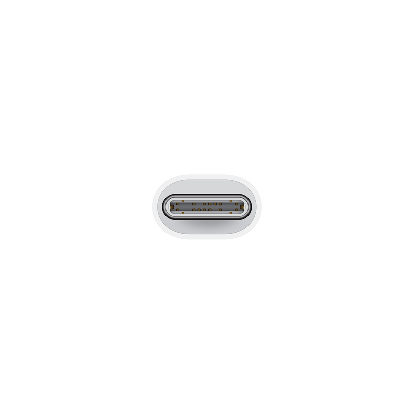 Apple vmesnik USB-C na Lightning - iSTYLE SI