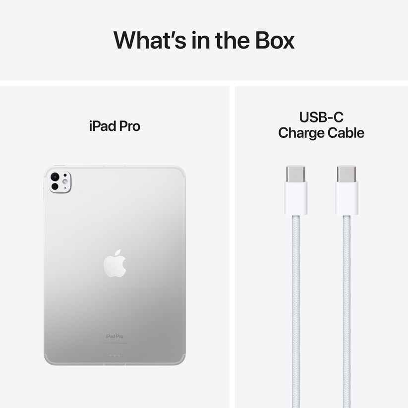 iPad Pro 11 (M4): Wi-Fi + Cellular, 1 TB nano-teksturirano steklo - srebrn - iSTYLE SI