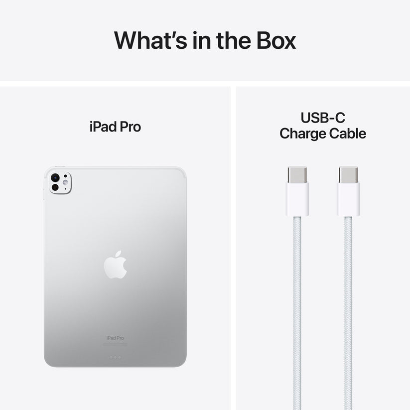 iPad Pro 11 (M4): Wi-Fi, 256 GB, standardno steklo - srebrn - iSTYLE SI