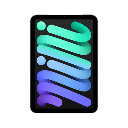 iPad mini (A17 Pro): Wi-Fi + Cellular, 256 GB - vesoljno siv