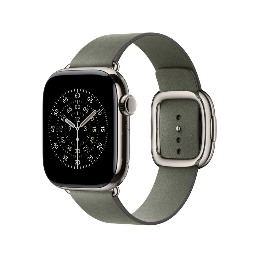 42mm Sage Grey Modern Buckle - Medium - iSTYLE SI