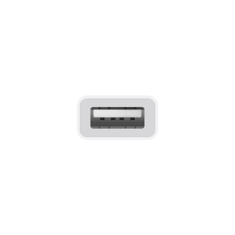 Apple vmesnik USB-C na USB - iSTYLE SI