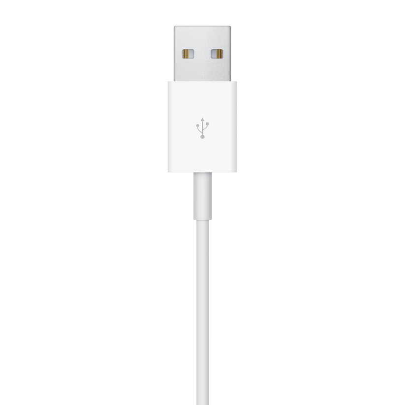 Apple kabel za Apple Watch z magnetnim hitrim polnilnikom in priključkom USB-C (2 m) - iSTYLE SI