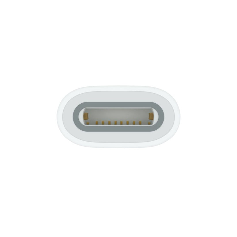 Apple vmesnik USB-C na Apple Pencil - iSTYLE SI