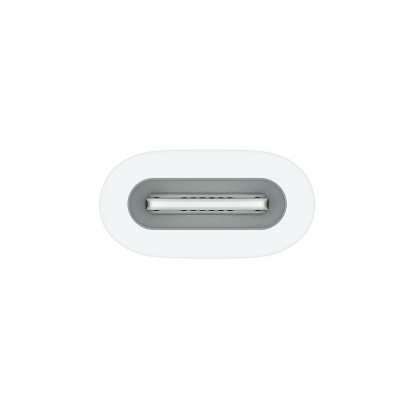 Apple vmesnik USB-C na Apple Pencil - iSTYLE SI