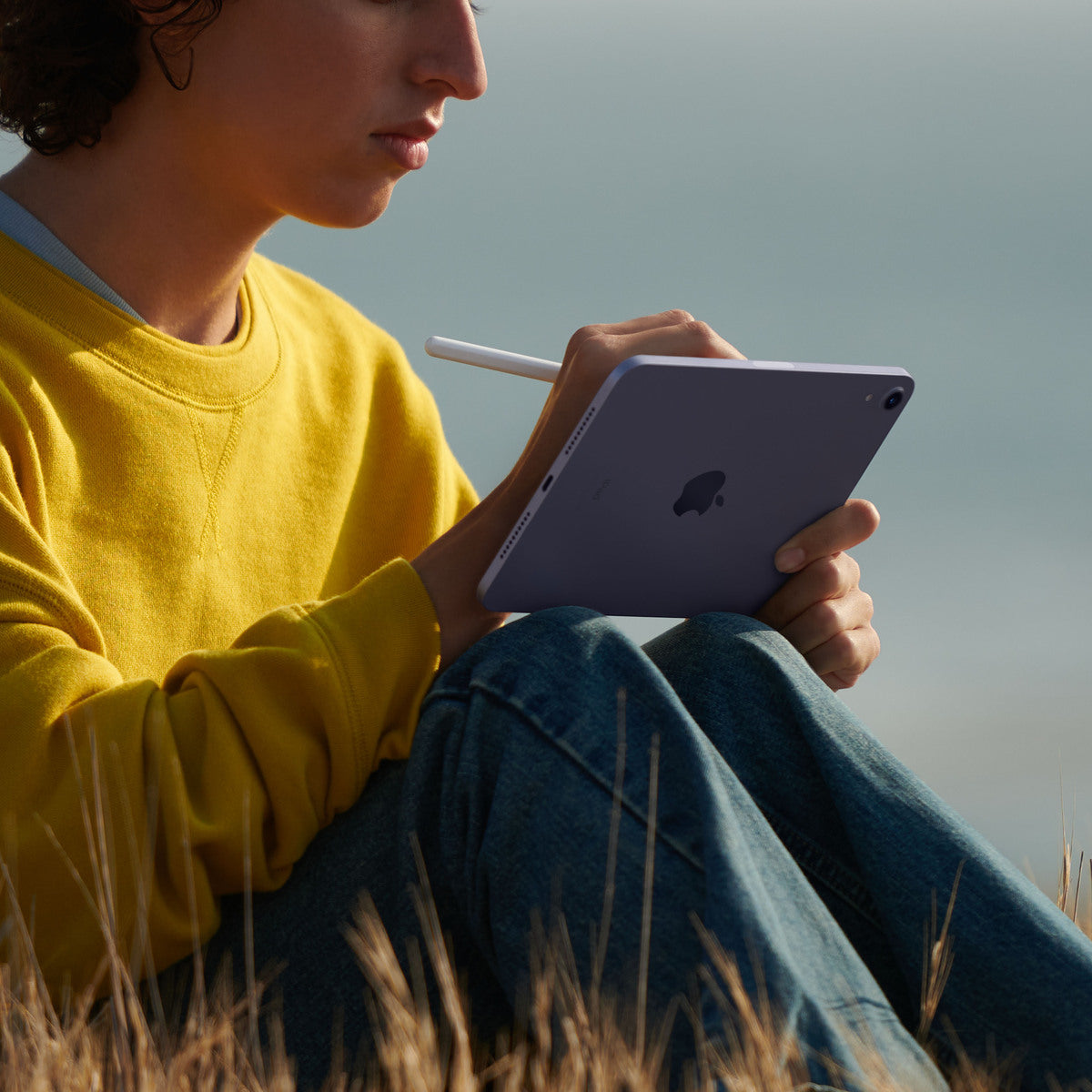 iPad mini (6. generacije): Wi-Fi, 256 GB - vesoljno siv - iSTYLE SI
