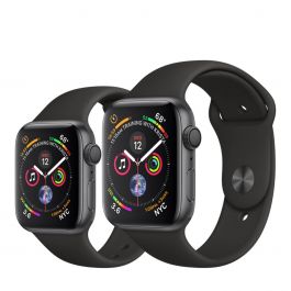 garmin forerunner 301